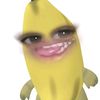 rajafatir03