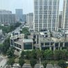 shuxin294