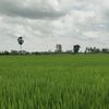 storyfarmers