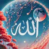 mustafa.alibrahimi