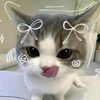 ist.me.wawa