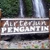 priyantoq3