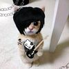 trappedinthedoll