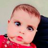 shehbaz8149