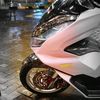 sgrdad.pcx
