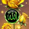 user71724179050811