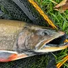 fishing_for._live