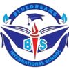 bluedreamsschool