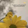 abeerahmed0234