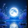 noormoon4341