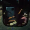 linzaii3