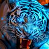 htet.min.khant671