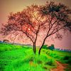 mdsaurab.uddin