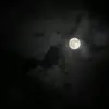 sari.bader