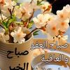 user6583995197916