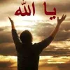 nasrin.ramo