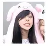 multifandon88