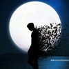 syar.reh
