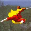thekungfuwoman