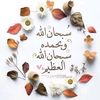 ommahmoud27814