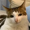 wheredeadangelslie3