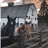 kendallthecowgirl