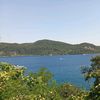 selman_tas_05