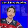 davidterapisokus