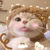hhhangmmai