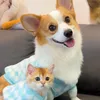Pet Shelter