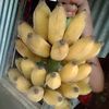 yousuf.uddin50
