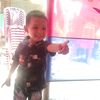 mduse799