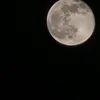 alezho8