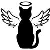 jose.angel6106
