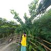 myat.noe.wai334