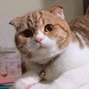 mo_mayry