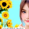 pye15393659