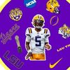 lsu.edit5