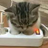 pubg_motomot0122