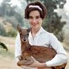 audrey.smithbliss