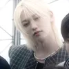 yong.lixxiebug