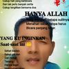 amin40462