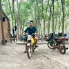 dodoc0050