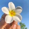 sanjida.sheikh53