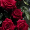 r_4411