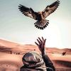 moahmed46234