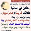 user4292080337522