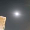 mohammad.alftayh