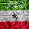 xamse.dahir43