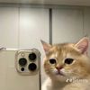 yengqt__